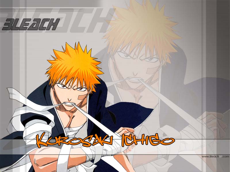 Otaku Gallery  / Anime e Manga / Bleach / Wallpapers / 081.jpg